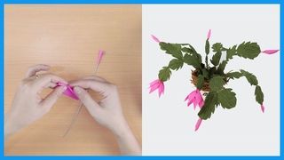 How To Make Chiristmas Cactus (Schlumbergera) Plant From Crepe Paper | DIY Flower Paper