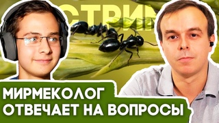 Мирмеколог Евгений Бургов отвечает на ваши вопросы в прямом эфире! Живое общение и розыгрыш призов!