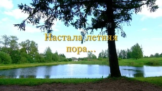 Настала летняя пора