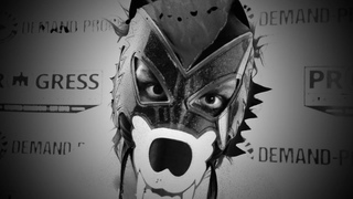 I have never, ever had a chance to shine as a singles wrestler