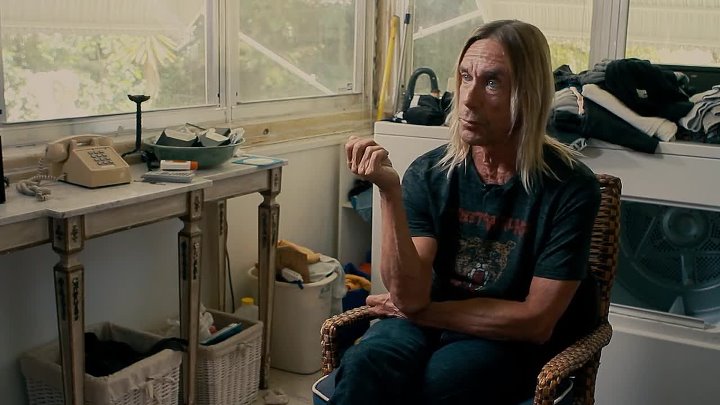 Gimme Danger (2016)