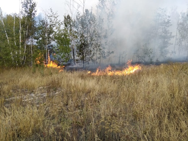 Оз сгорел. Горит недалеко. Возгорание в неклиновском районе ростовской области. Горящее озеро. Пожар на даче.