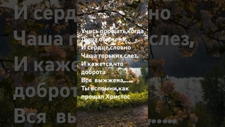 «Учись прощать…..»