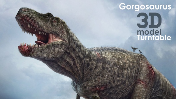 Gorgosaurus 3d model