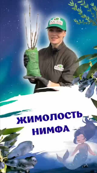 Клипы Питомник Росток. Саженцы