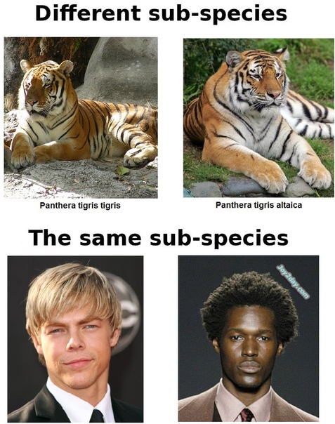 Same species. Популяция картинки. Black people are a different species. Types of distribution. The same species.