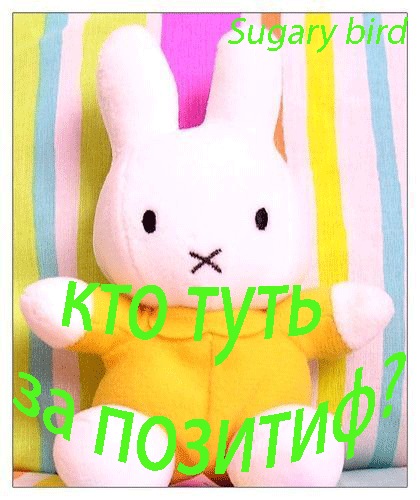 №114, Евгения Архипова, Кингисепп №114, Евгения Архипова, Кингисепп