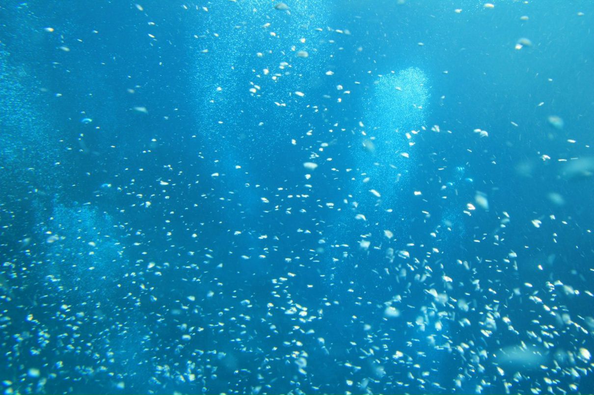 Владимир Пехоца | Краснодар