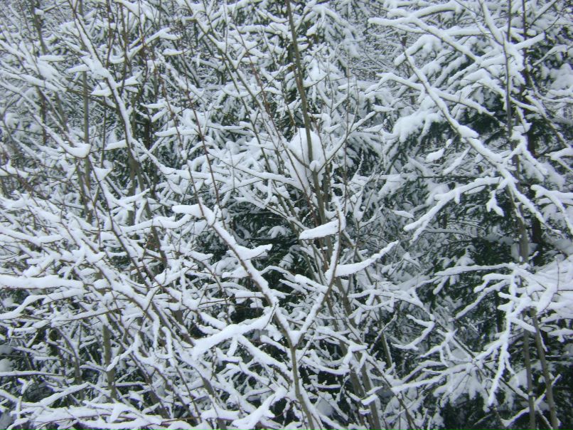 Татьяна Еремеева | Березники