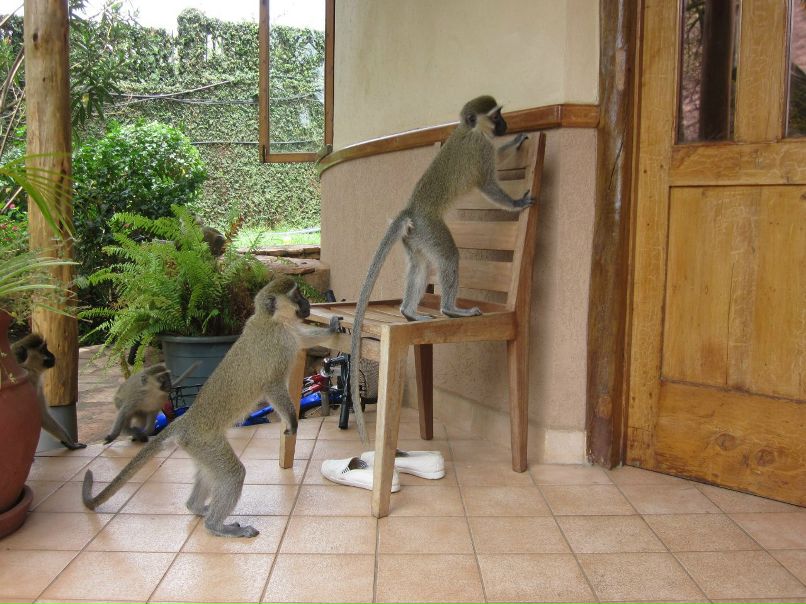 Andre Pablo | Санкт-Петербург