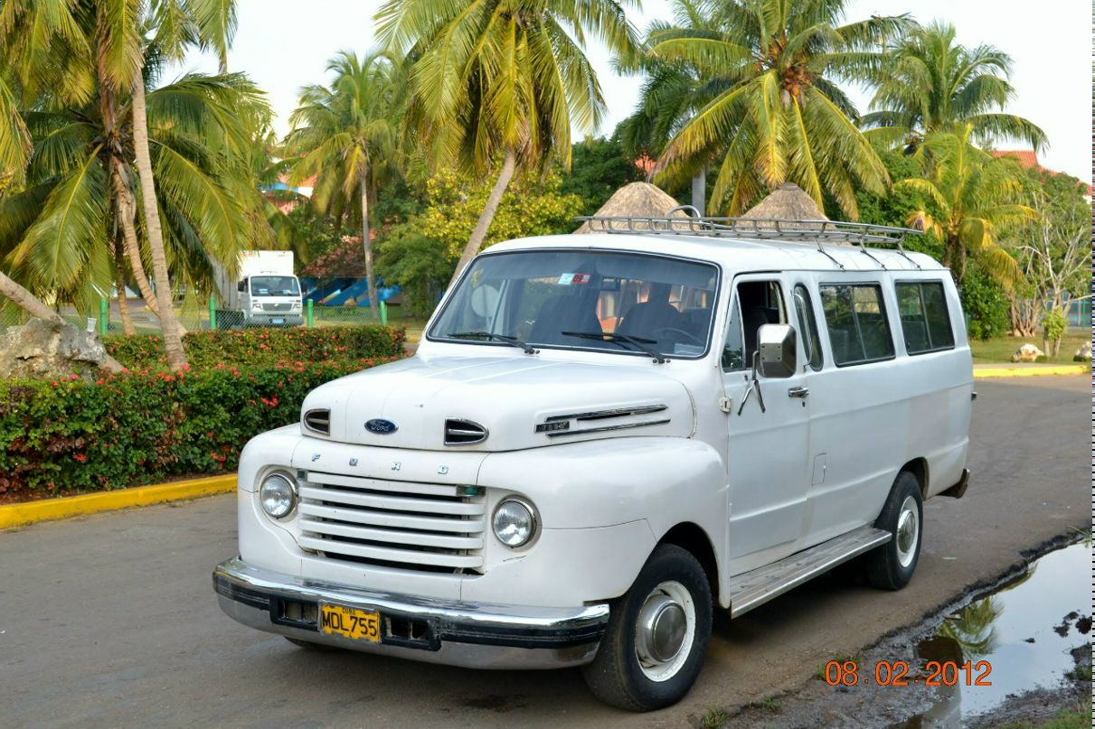 Алеся Волкович | Санкт-Петербург