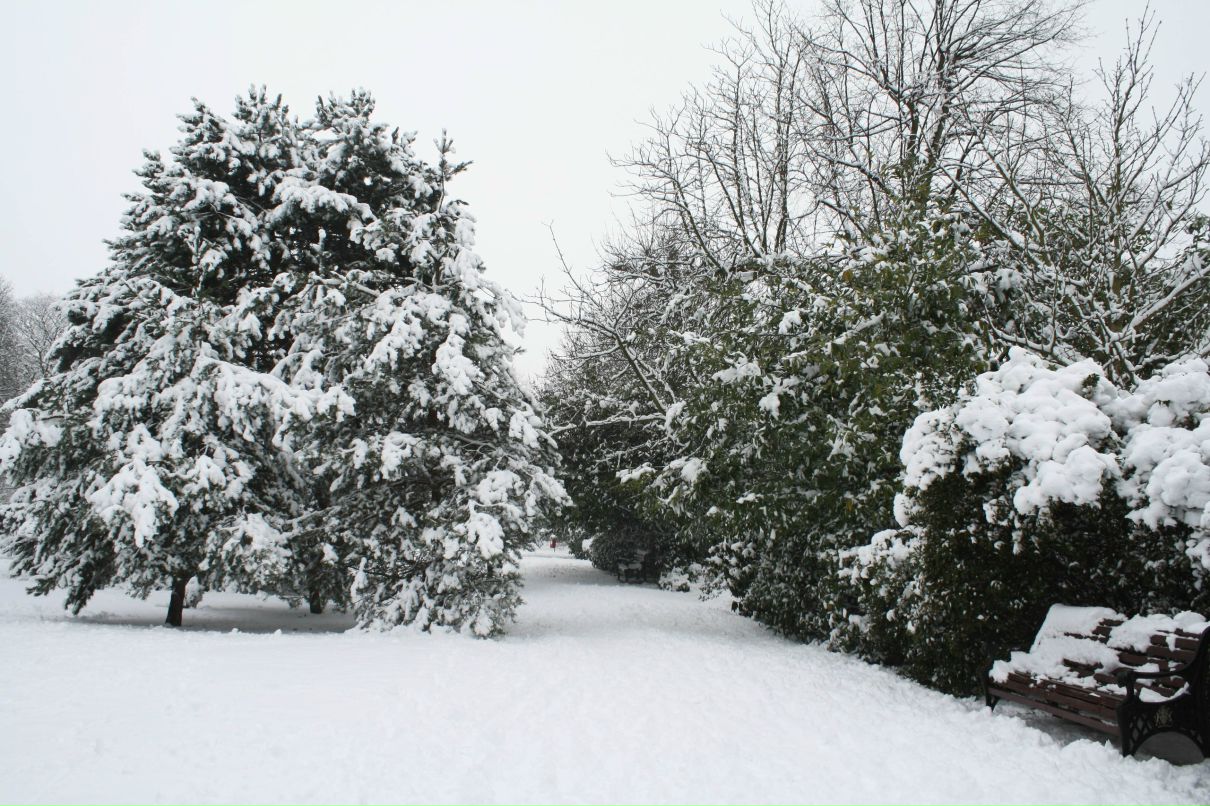 Irina Bairamian | London