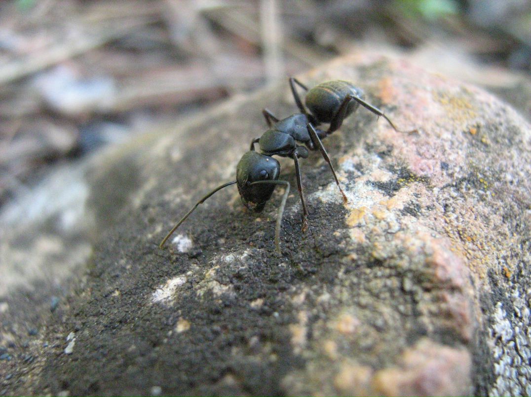 Руслан Яхиев | Ангарск