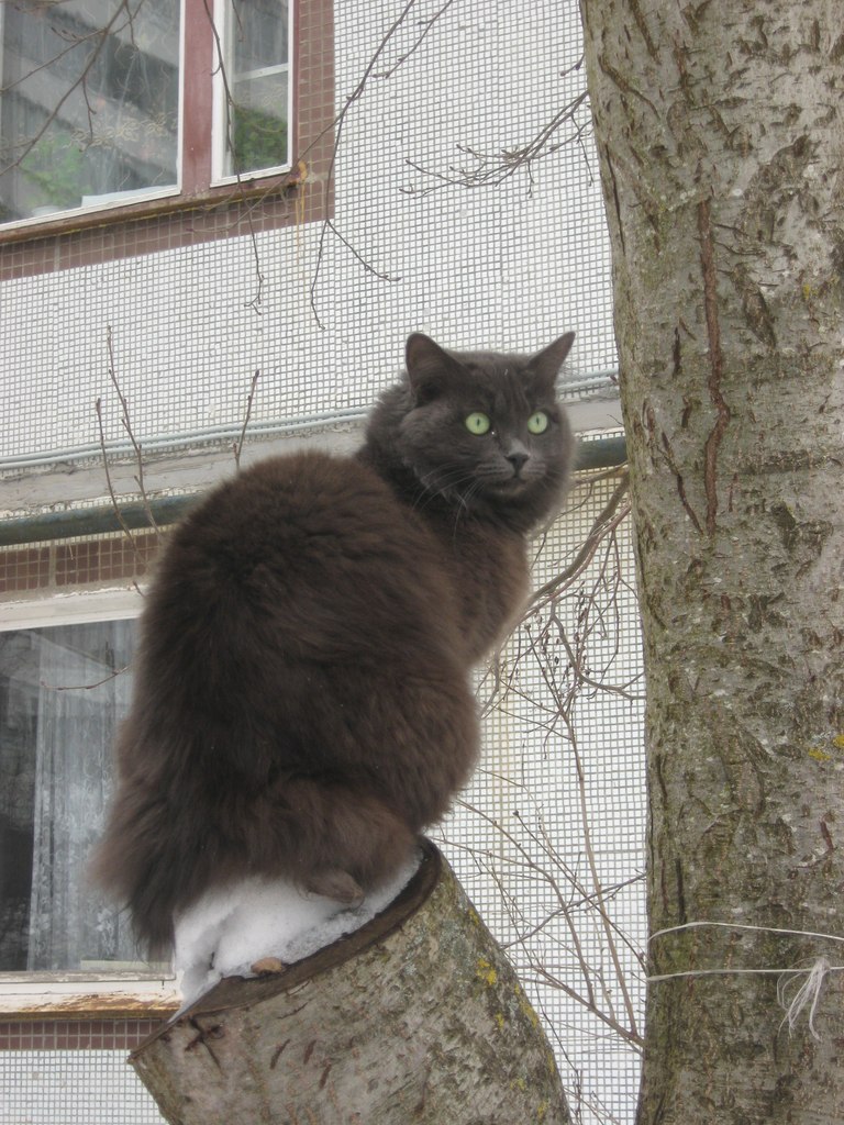 Наталия Хмелёва | Великий Новгород