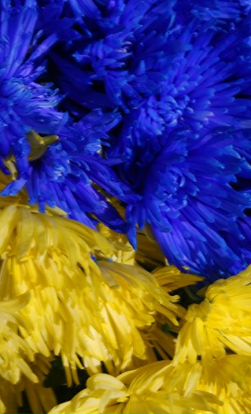 №59, Павел Плеханов, Днепр (Днепропетровск) №59, Павел Плеханов, Днепр (Днепропетровск)