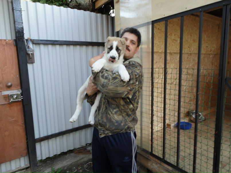 Наташа Копылова | Ногинск