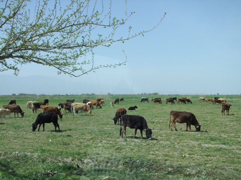 Александр Шишкин | Москва