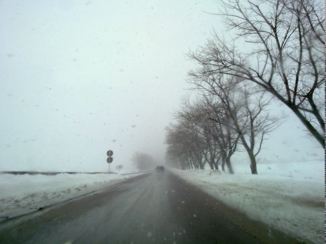 Саша Елецкий | Ростов-на-Дону