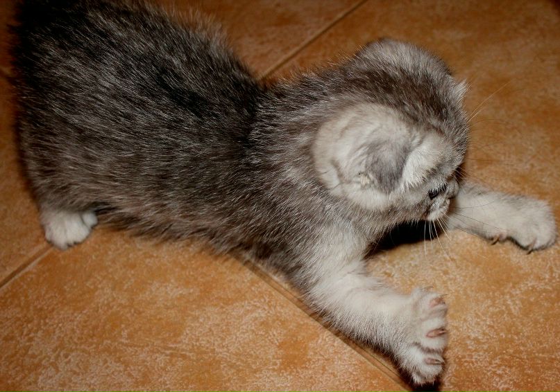 Артур Шаймарданов | Набережные Челны