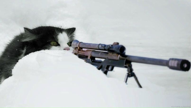 Татьяна Юдкина | Кемерово