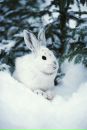 №34 Софья Зорина 15.11.1998: профиль, фото, статус - ВКонтакте №34 Софья Зорина 15.11.1998: профиль, фото, статус - ВКонтакте