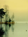 №25 Вова Глазко : профиль, фото, статус - ВКонтакте