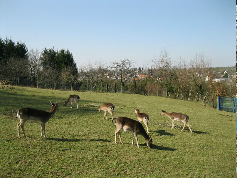 Екатерина Локтева | Санкт-Петербург