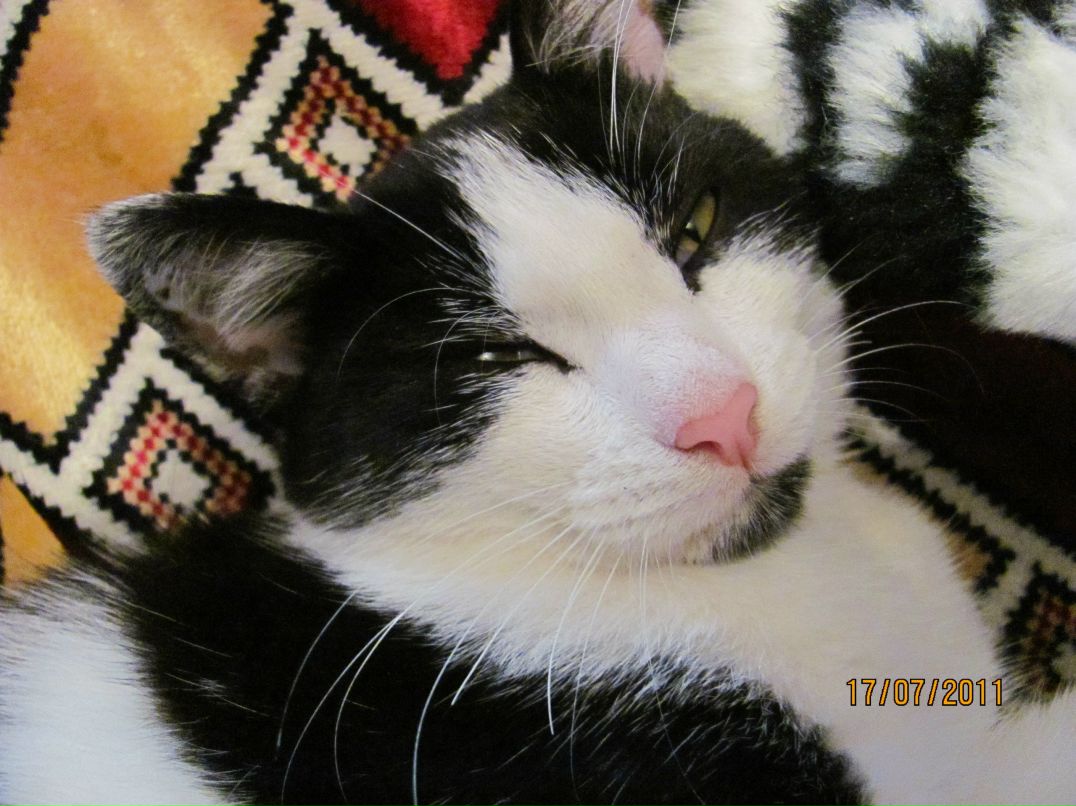 Ксюша Антипова | Ангарск