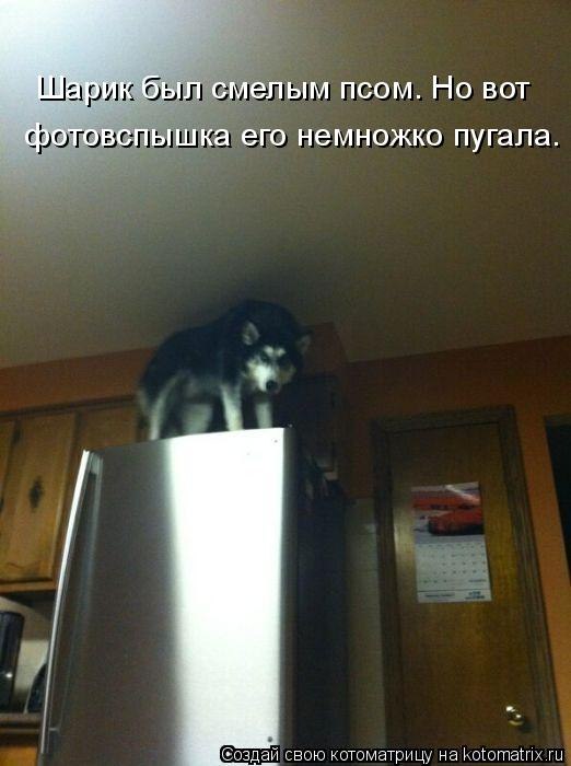 Денис Иванов | Волгоград