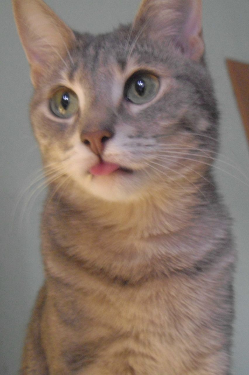 Максим Савин | 