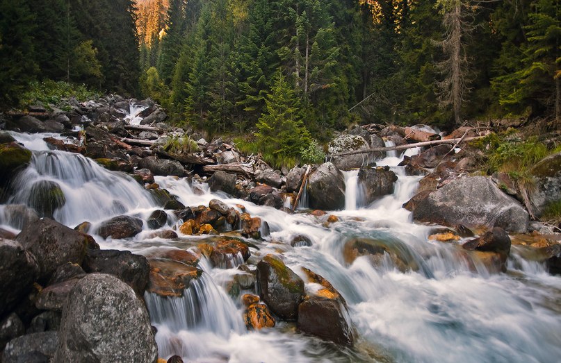 Олег Мельник ———————————————————————————————————d(^_^)b——————————————————————————————————— | 