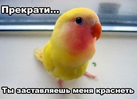 Михаил Новожилов | Апатиты