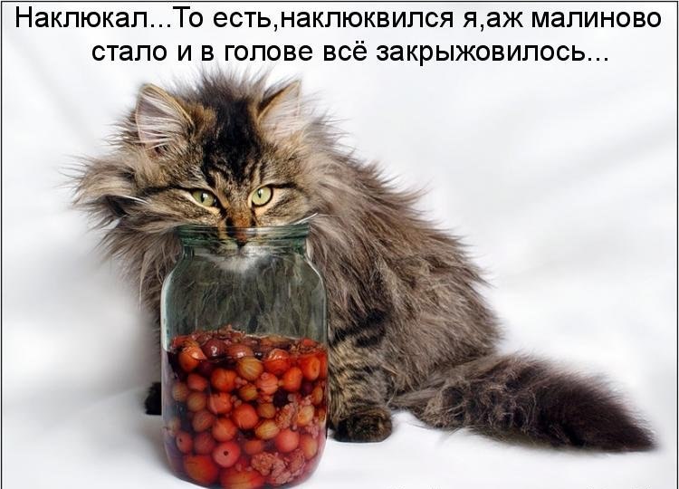 Светлана Уварова | Кировск