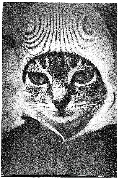 Дмитрий Грибков | Ярославль