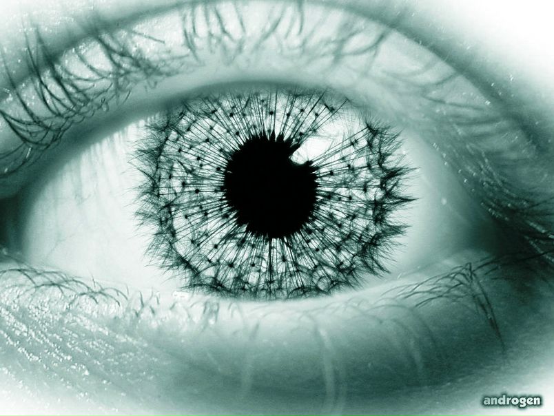 №7, Алексей Киселев, 36 лет, Санкт-Петербург №7, Алексей Киселев, 36 лет, Санкт-Петербург