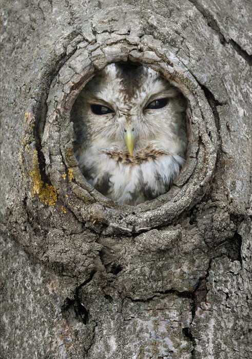 Екатерина Чернышова | Москва