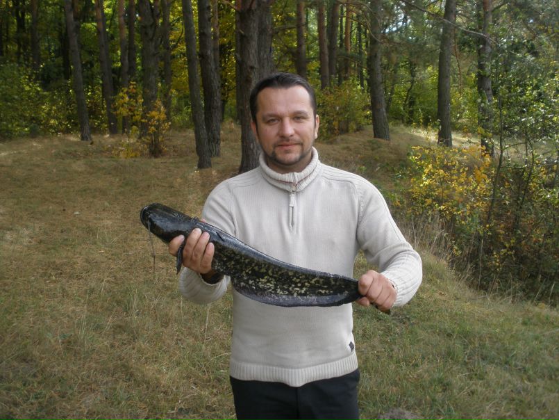№17, Vasiliy Bondarchuk, Житомир №17, Vasiliy Bondarchuk, Житомир