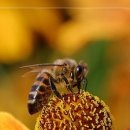 №103, Олег Водинов, Череповец №103, Олег Водинов, Череповец