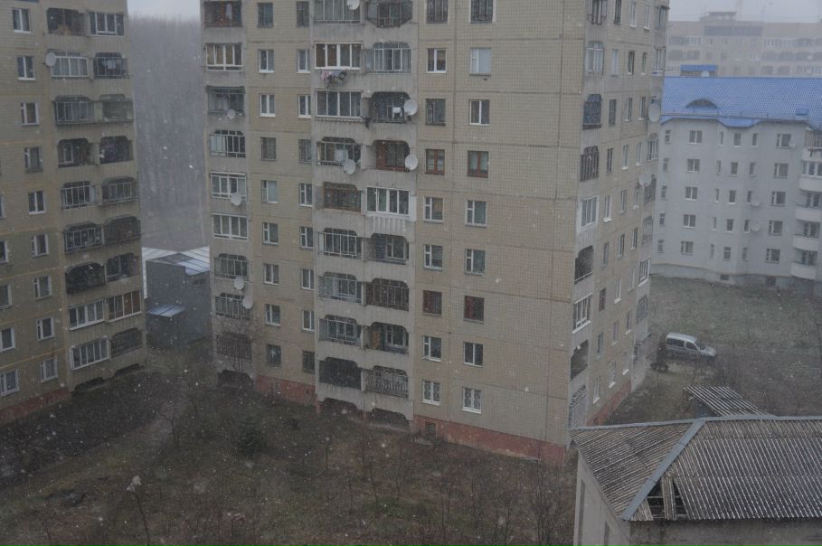 №91, Анастасія-Марія Нога, Львов №91, Анастасія-Марія Нога, Львов