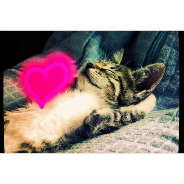 №10, Карина Романова, Москва №10, Карина Романова, Москва