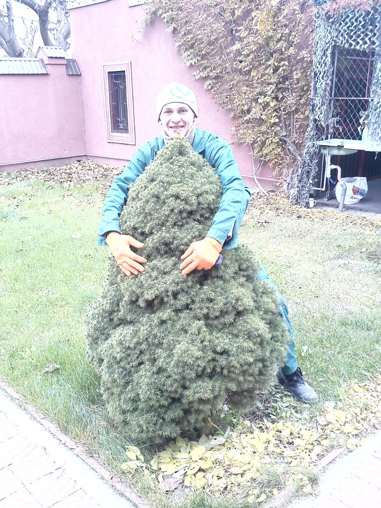 Геннадий Кирев | Одесса