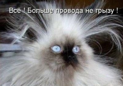 Светлана Матовых Rosita | Киев