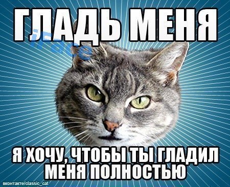 Паша Милевський | Макаров