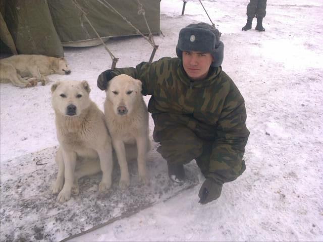 Юрий Стукалов | Ставрополь