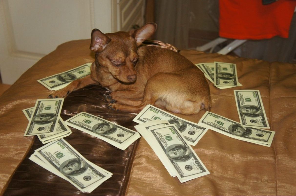 Денис Дерезовский | Сургут