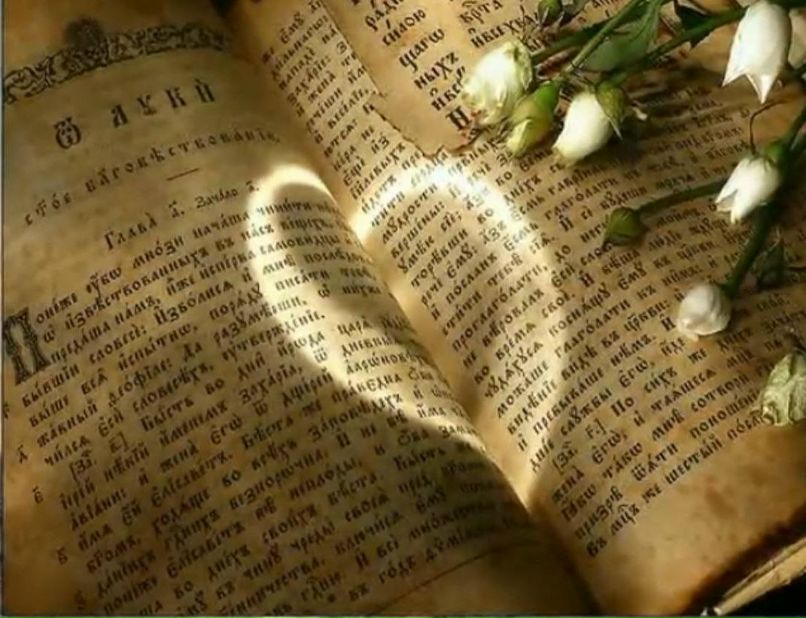 Оля Паламарчук | Винница