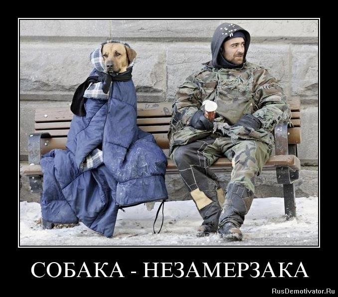 Андрей Лефутуренко | Киев