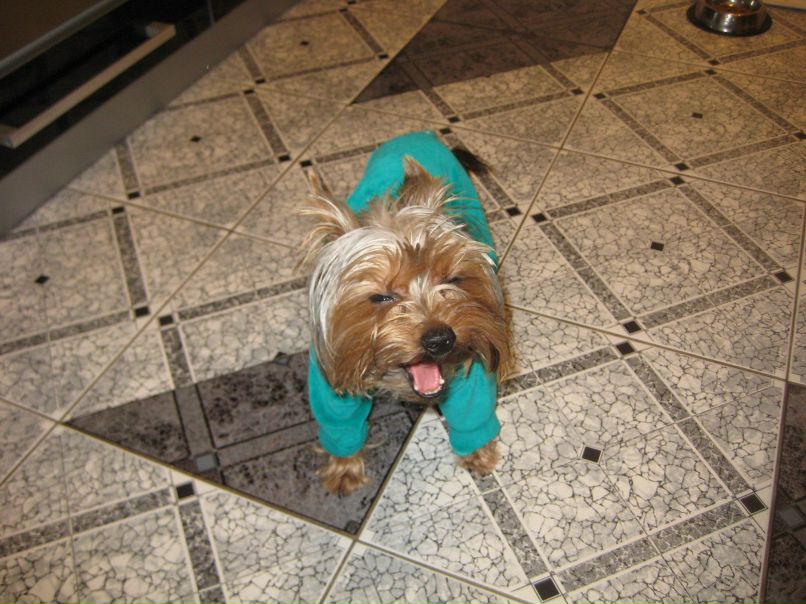 Глеб Шашалевич Александрович | Минск