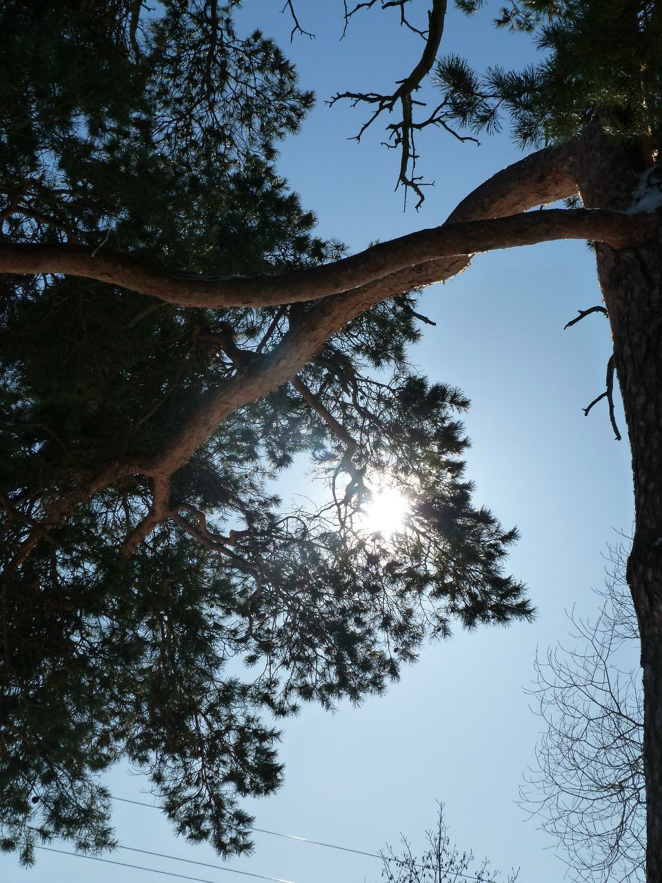 Инна Малмыга | Санкт-Петербург