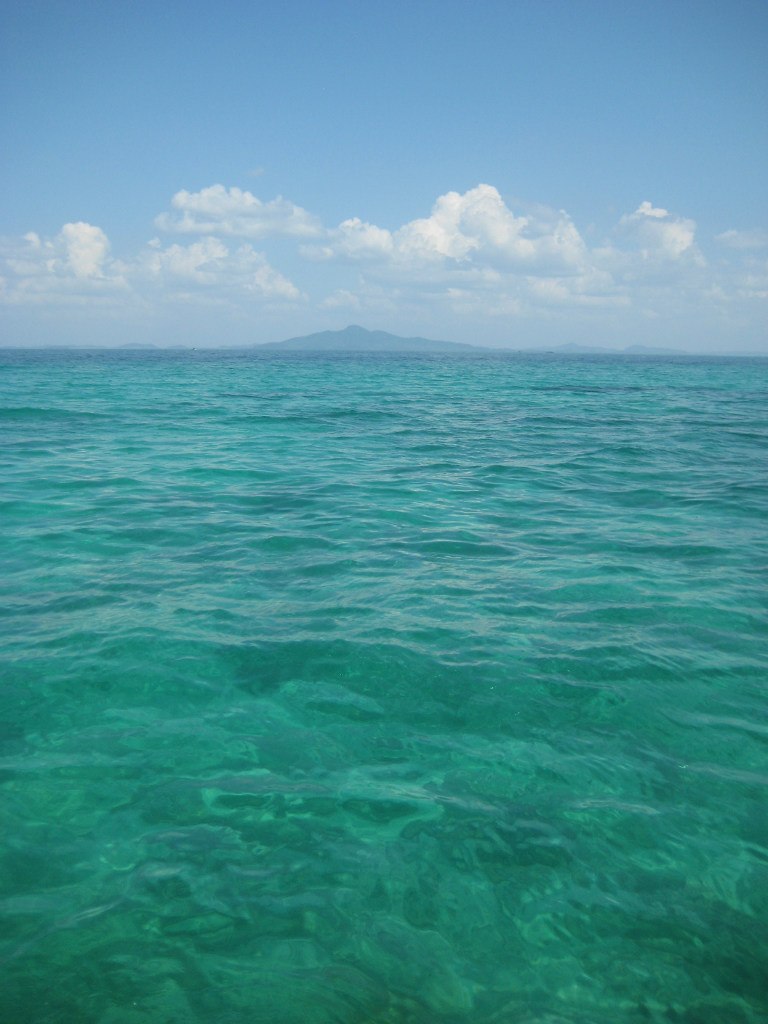 Олеся Петрова ღ Lisa Alissa ღ | Москва